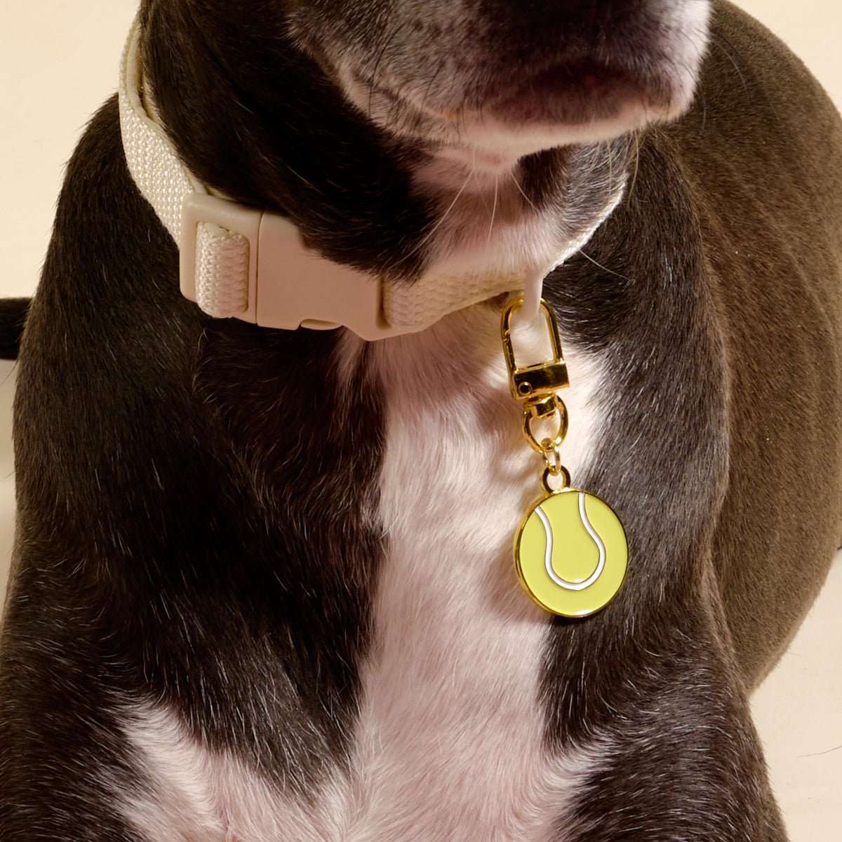 Pet Collar Charm - Tennis Ball