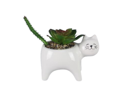 Young's Inc. Ceramic Pet Planter