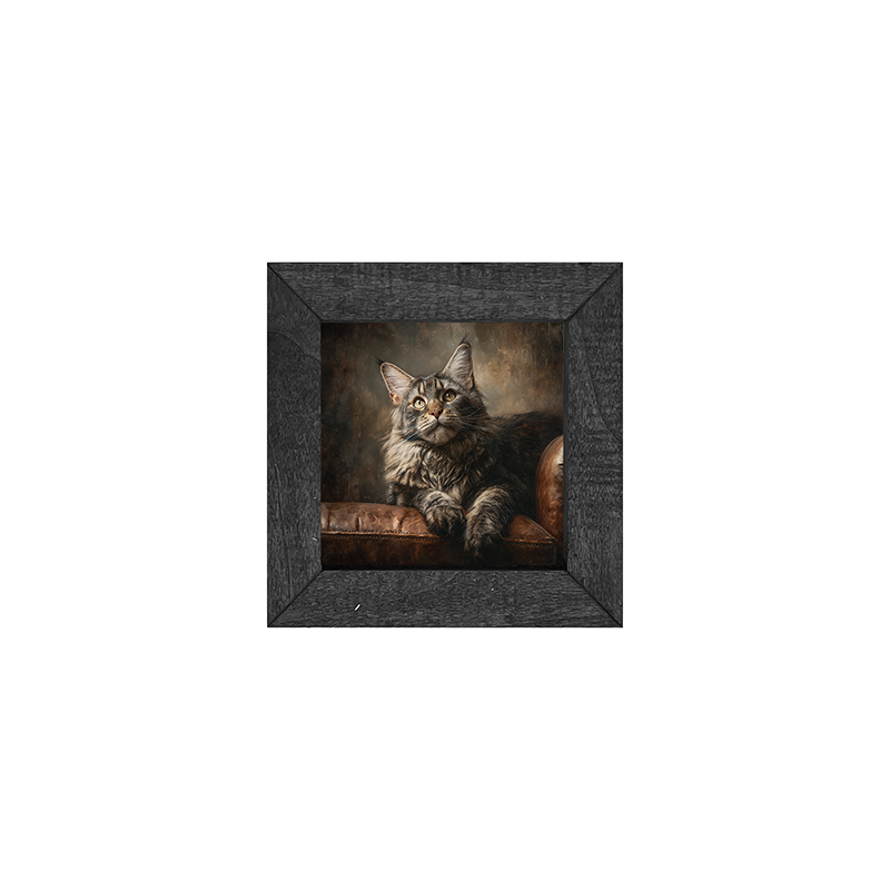 Armchair with Maine Coon Cat - Square Box Frame