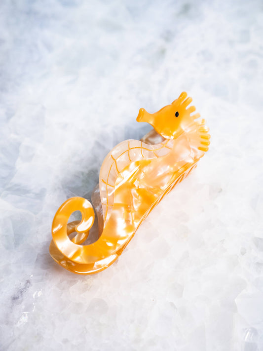 Eco Friendly Seahorse Hair Clip, Large