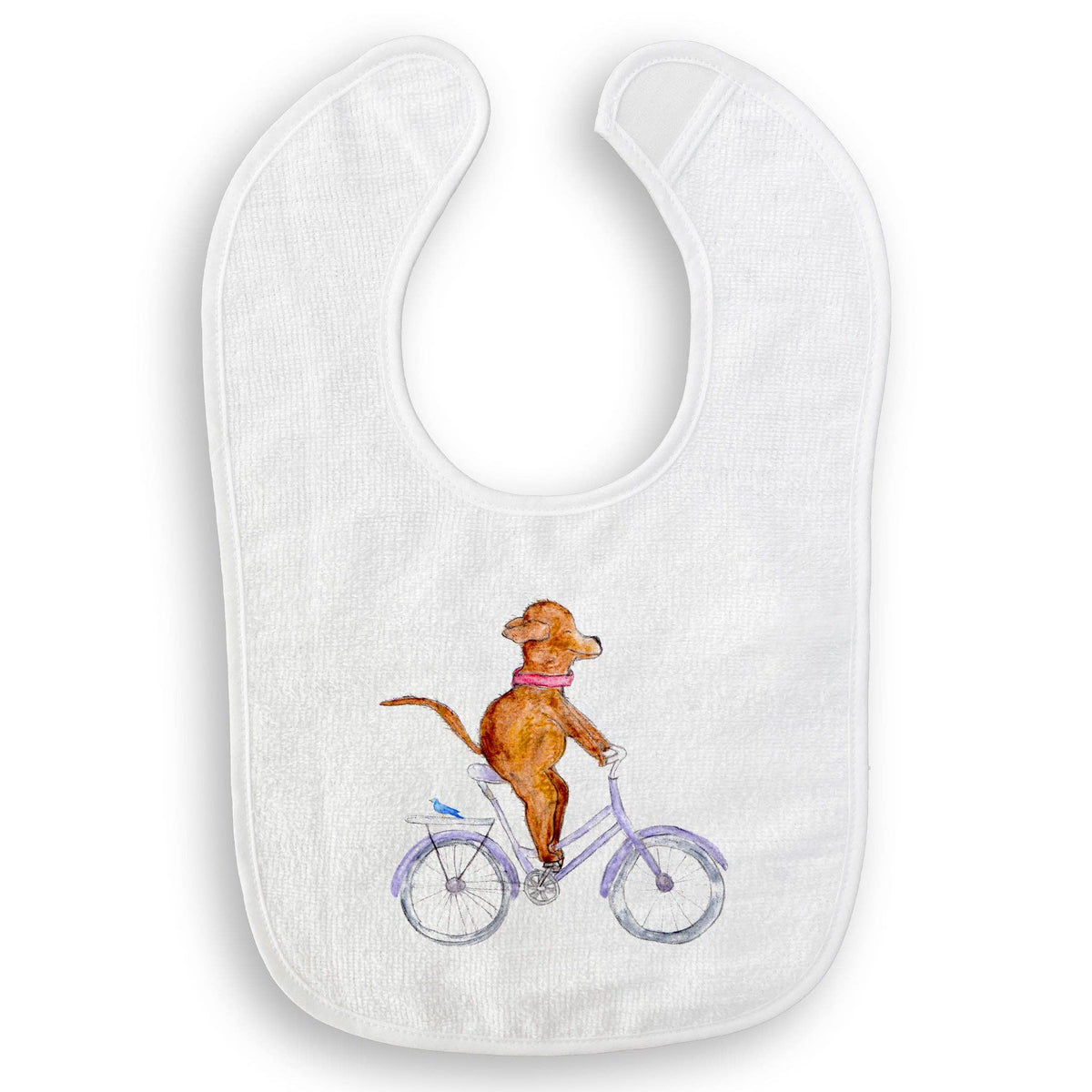 Dog On a Bike