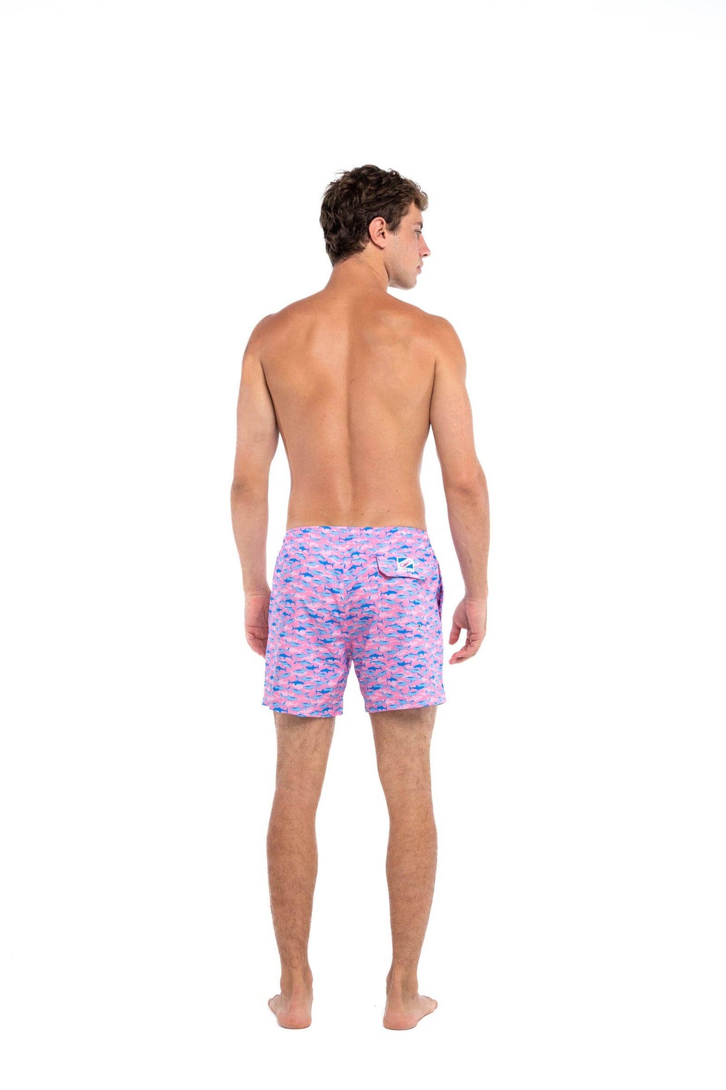 Pink Sharks - 6 inch with liner
