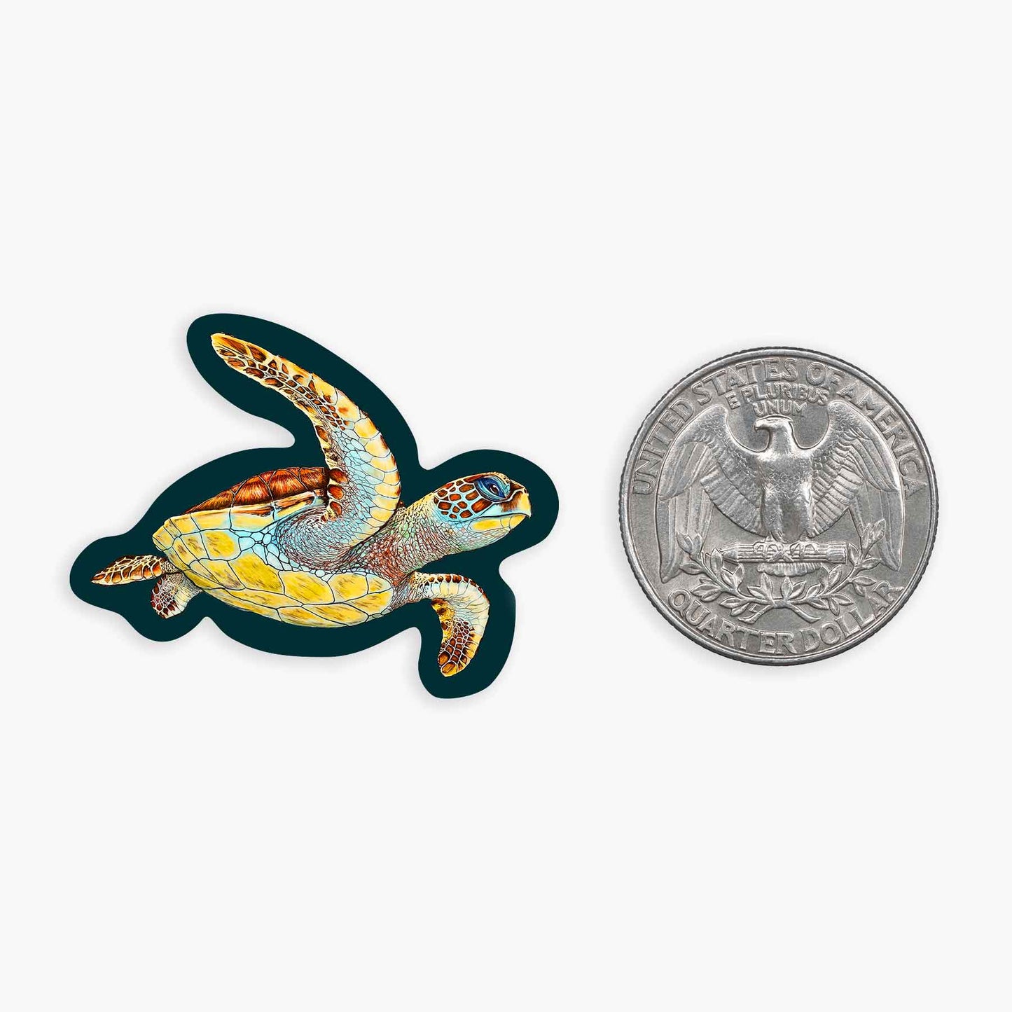 Loggerhead- Mini Sticker