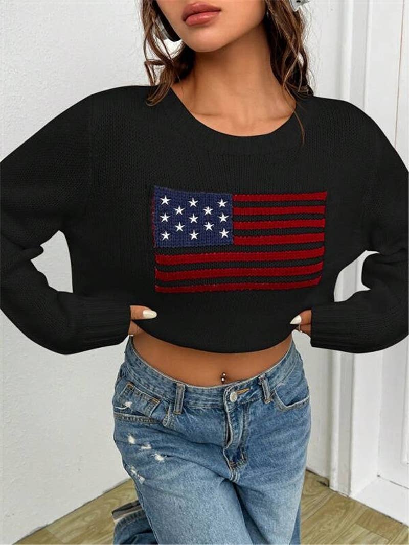 American Flag Knit Sweater