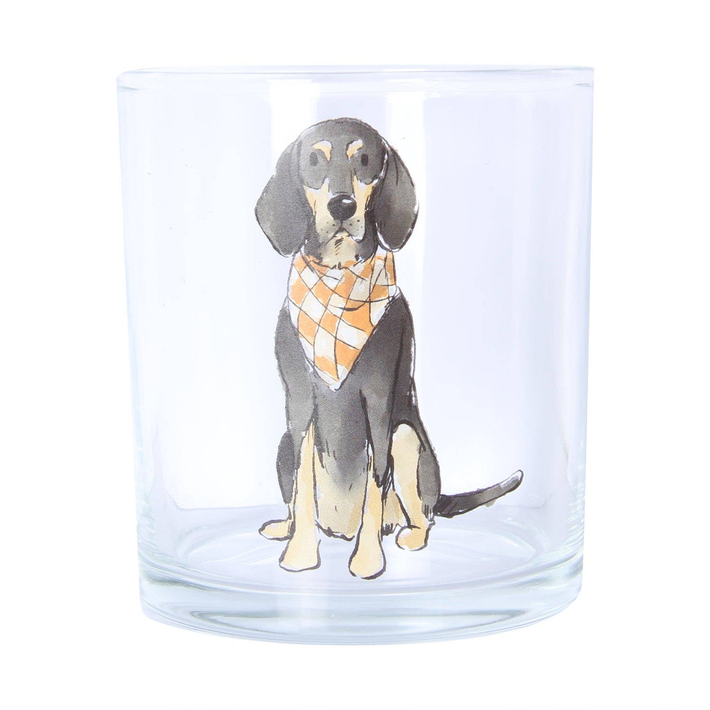 Bluetick Coonhound Sitting Rocks Glass