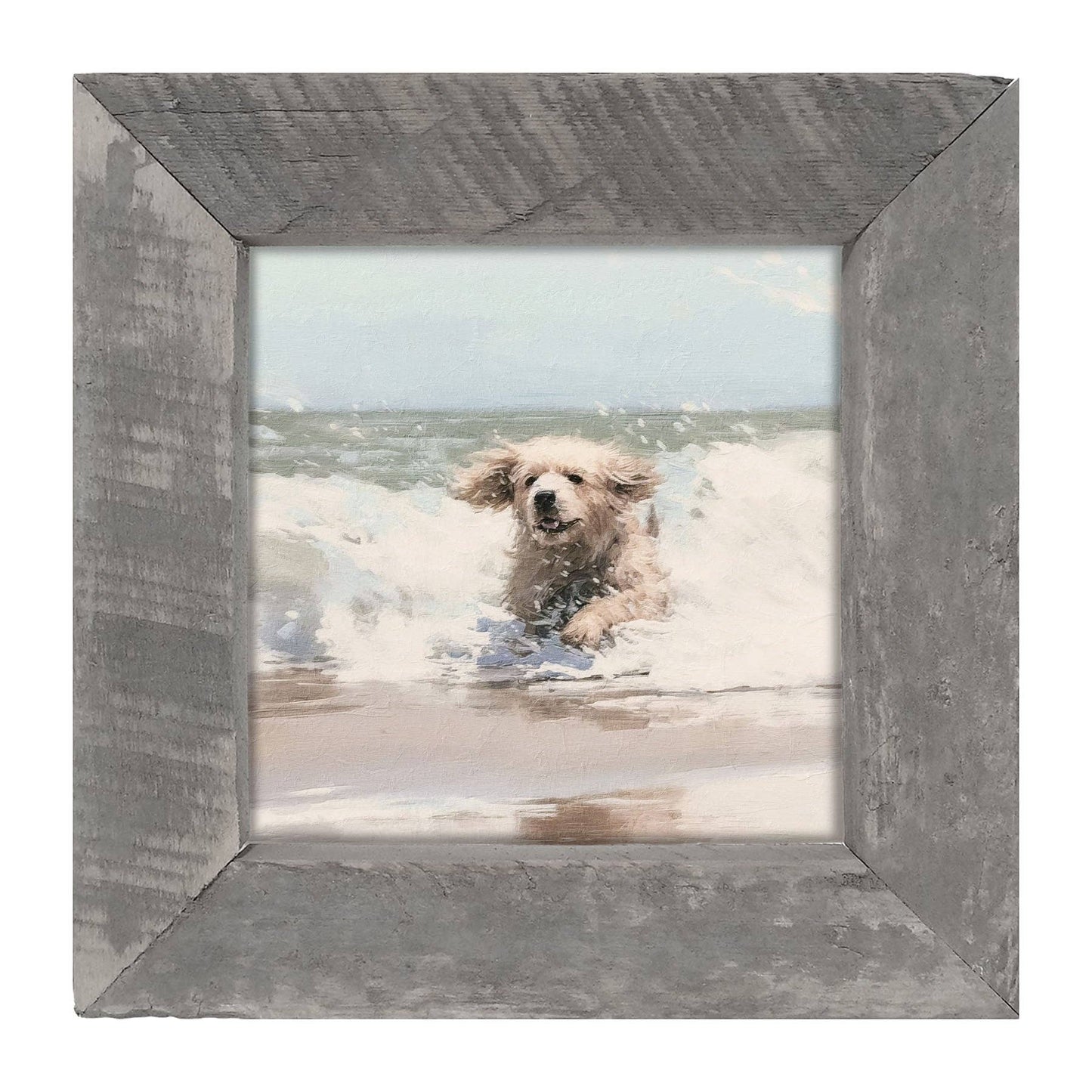 Dog running in water