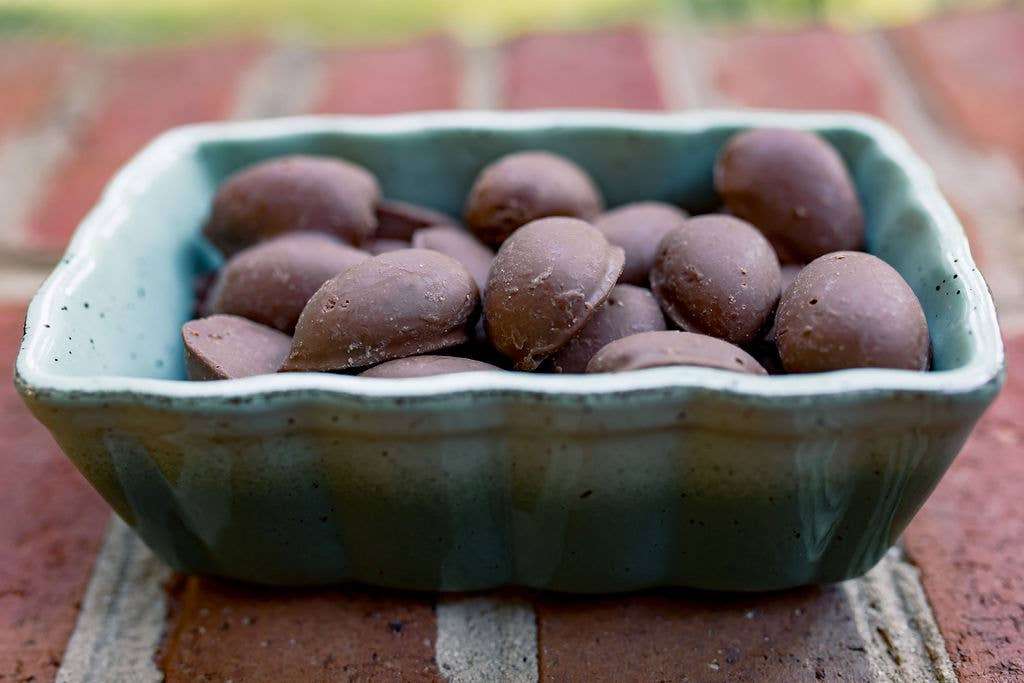 HOLIDAY Milk Chocolate Covered Pecans 8oz