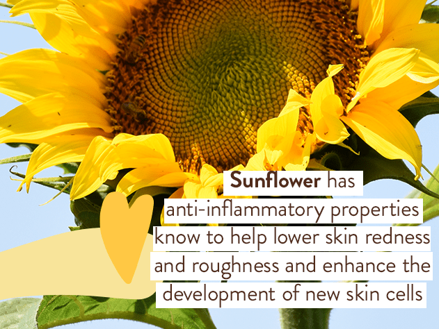 Swim & Sport Mineral Sunscreen Balm SPF50