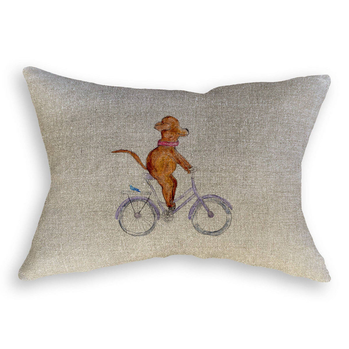 Dog On a Bike