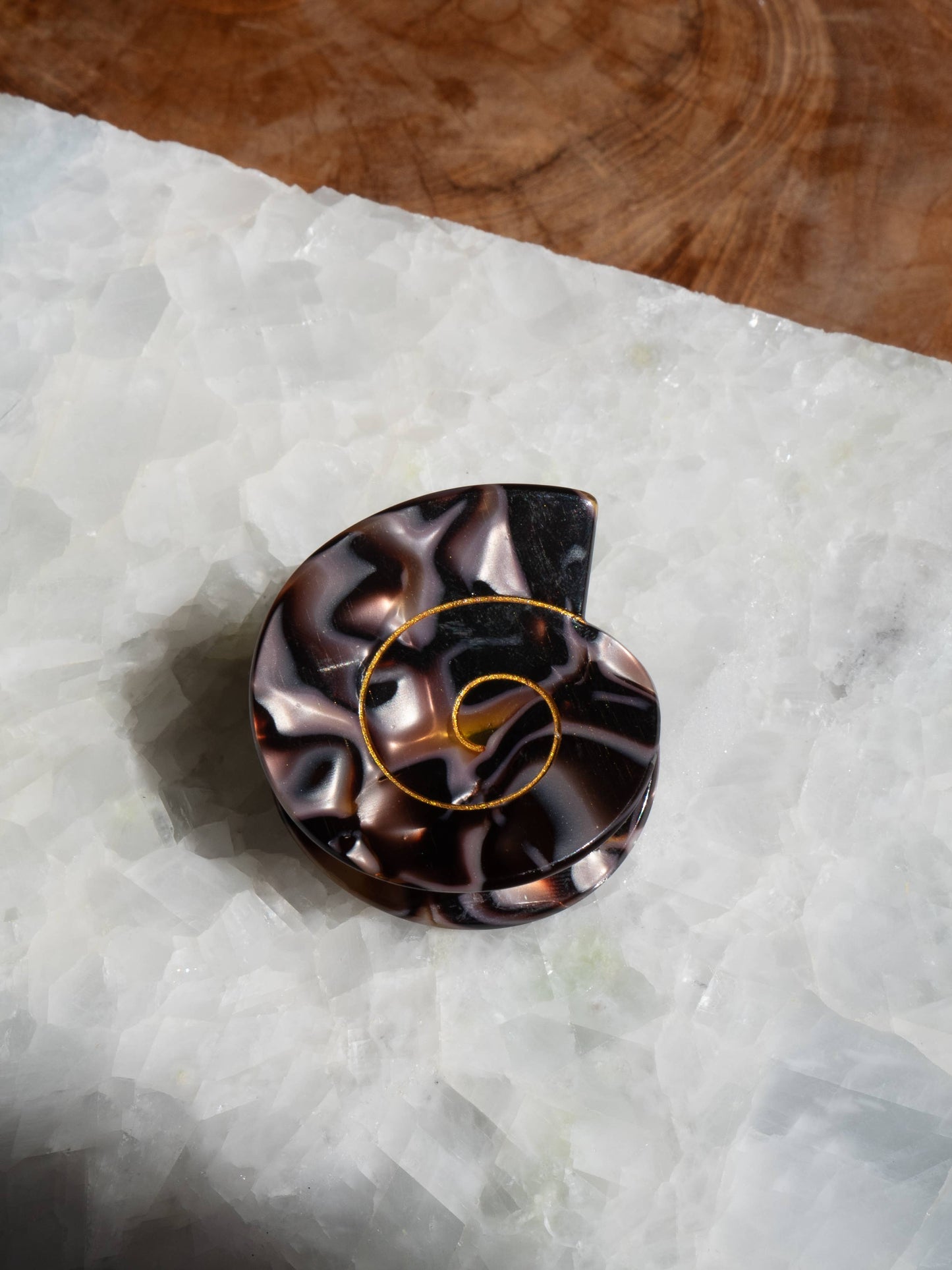 Spiral Sea Shell Hair Clip