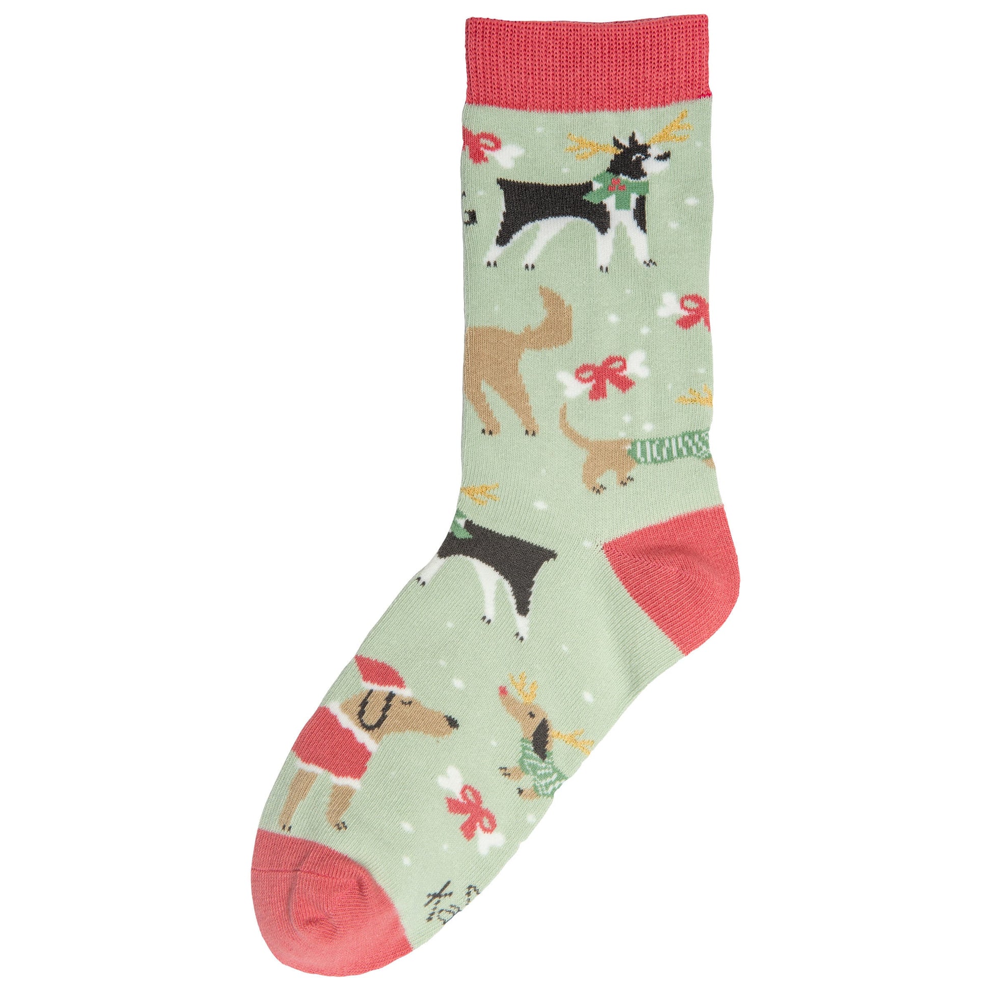 HOLIDAY SOCKS  FELIZ NAUGHTY DOG (H20)