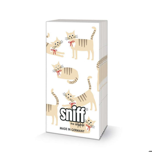 SNIFF- CAT STORY