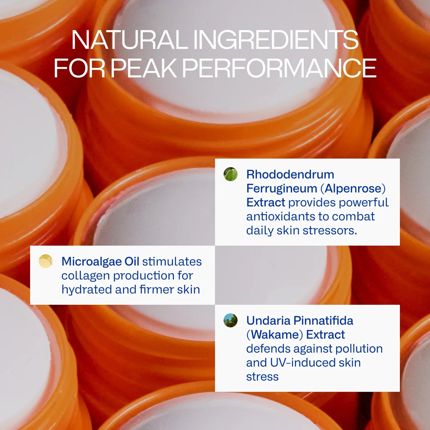 Peak Performance Broad Spectrum SPF 50 Stick